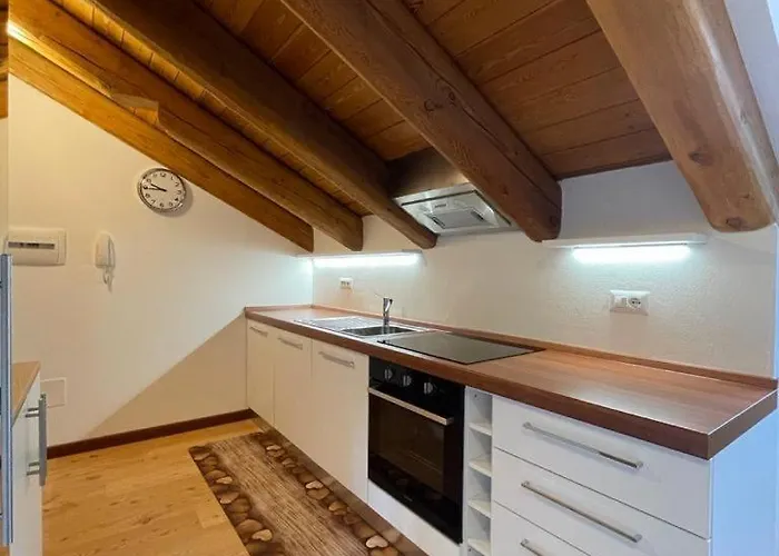 Apartament Nest In *